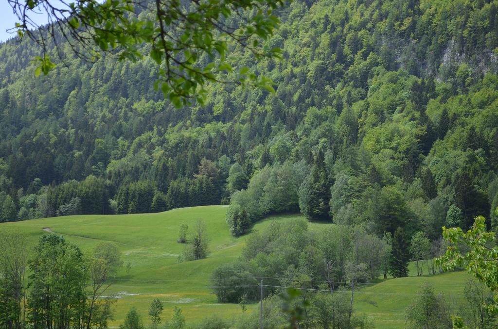 Bauernhof Konig Villa Anger  ภายนอก รูปภาพ