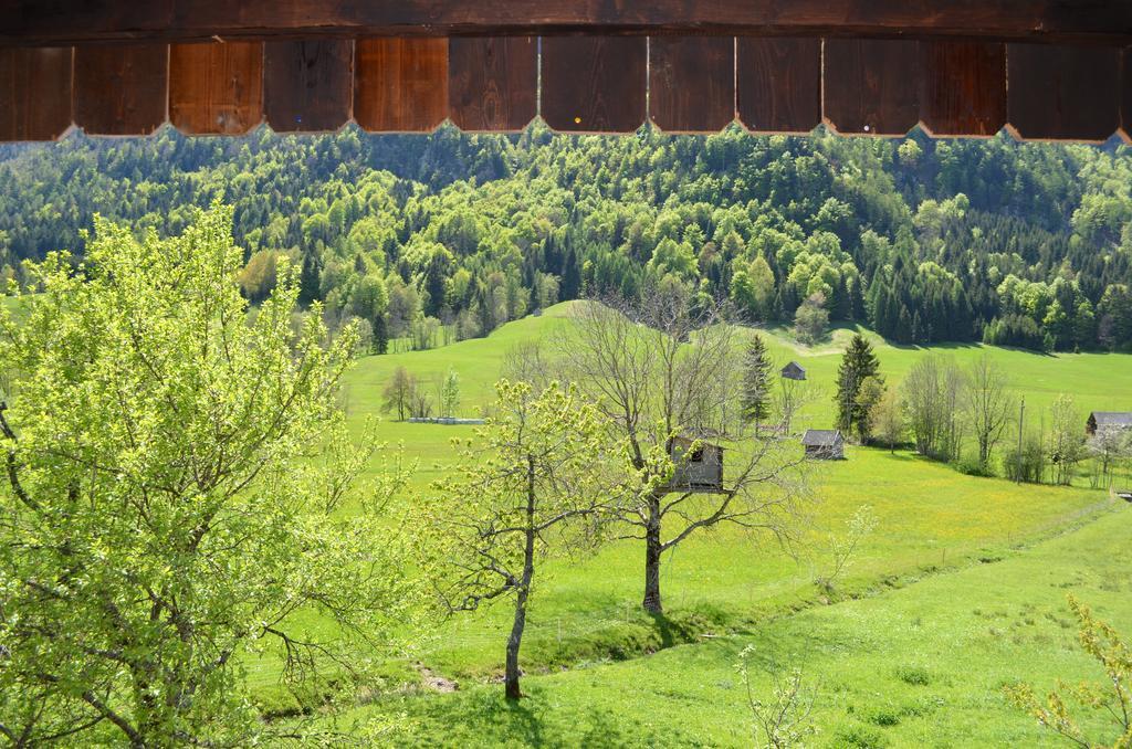 Bauernhof Konig Villa Anger  ภายนอก รูปภาพ